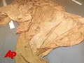 a torn and tangled parachute found by children in southwest washington state may belong to famed hijacker d.b. cooper, who jumped out of a jetliner in 1971 with $200,000 in cash, never to be seen again. (march 26)