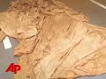 a torn and tangled parachute found by children in southwest washington state may belong to famed hijacker d.b. cooper, who jumped out of a jetliner in 1971 with $200,000 in cash, never to be seen again. (march 26)