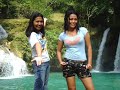 Mga bisdak sa Kawasan Falls