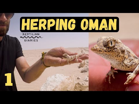 YouTube reptile video