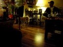 Happy thanksgiving 2008