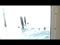 Intracoastal Volume 6: To The Caloosahatchee River Intracoastal Volume 6: To The Caloosahatchee River