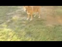 Kahla and Moses part 2