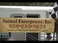 Animal Enterprises, Inc.