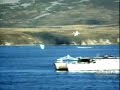 falklands-war.html