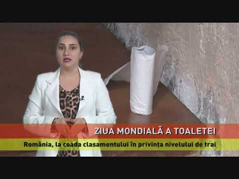 Ziua Mondială a Toaletei