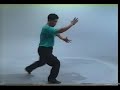 Luo Dexiu's Gao Style Pre-Heaven Bagua