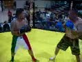MMA Exhibition MMA Exhibition