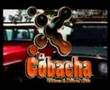 opening  la cobacha puente de ixtla