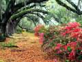 Vozes da Primavera