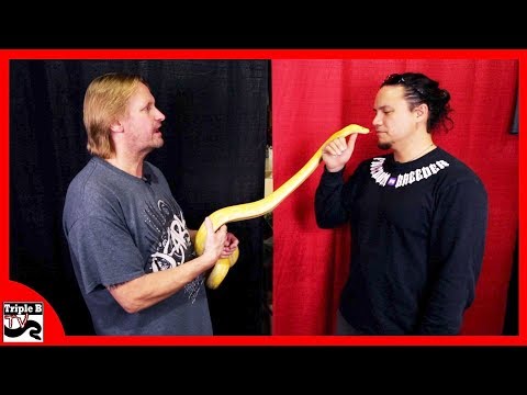YouTube reptile video