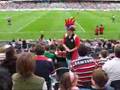 Roosters Chook Pen Chants