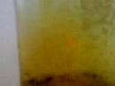 10 second film on sedimentary rocks 10 second film on sedimentary rocks