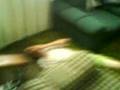 lucha libre casera 1