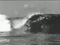 bonzer to single fin by Patrick Trefz bonzer to single fin by Patrick Trefz
