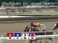 FAIR GROUNDS, 2008-11-15, Race 3