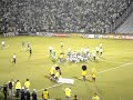Festa Da Torcida -Palmeiras 2 x 1 Ponte preta - Tv Alviverde