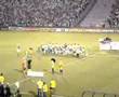 videos de Festa Da Torcida -Palmeiras 2 x 1 Ponte preta - Tv Alviverde