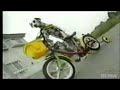 Dalmation Riding a Bike Dalmation Riding a Bike