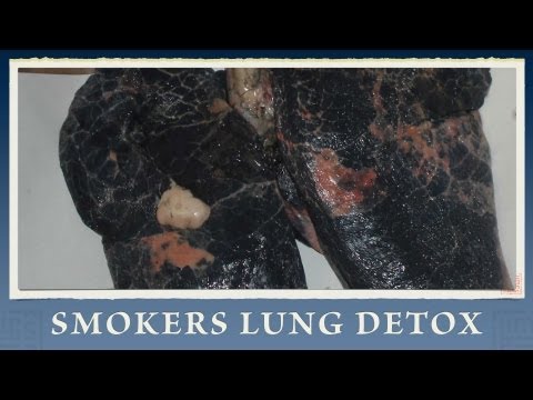how to repair lungs