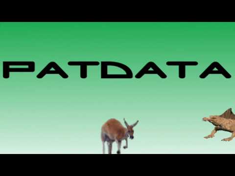 Patdata Intro!