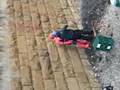 Forth Rail Bridge Abseil CHSS