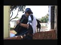 Cachorros cantores.wmv