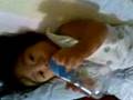 baby nat cute