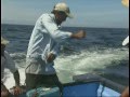 Trinidad and Tobago: Fish Kills