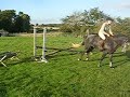 Bobby - connemara jump 1 Zuzie Poskitt