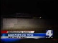 S. Valley cockfighting ring busted