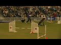 Cay-Cay AKC-Eukanuba Agility Invitational 2009 Finals