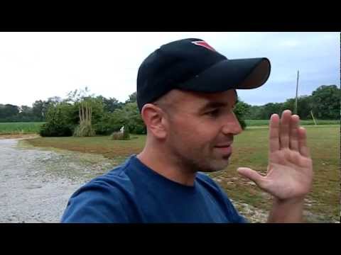 dvla car registrations dvla car registrations