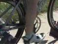 Benefits-of-Road-Bik