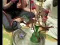 Helali