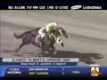 videos de Clasico Albert H. Cipriani 2002