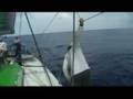 Volvo Ocean Race 2008/09: Green Dragon entering the Doldrums