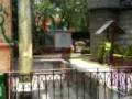 videos de cristian y alan