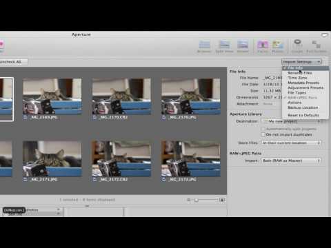 YouTube Preview Image
