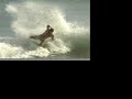 Buitre- Proyecto Uno