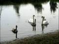 Mazury 2008