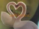 You are the music in me (Loveteams\