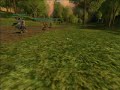 lord of the rings online lotro  first ever conga