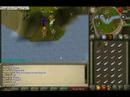 runescape fishing