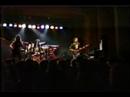 chetah live realkindoflove