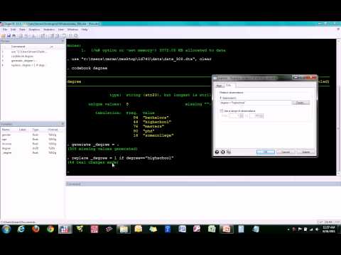 how to define labels in stata