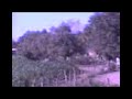 EL SALITRE SINALOA