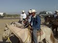 Caballos. Cabalgata 4 San Miguel 061209.mp4