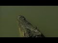 Kakadu and Arnhem Land, Northern Territory
