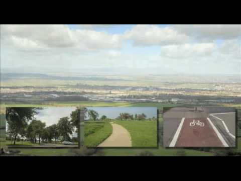 Kingsway Business Park - Environment